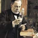 Louis Pasteur Studied How to Prevent Illness Using Wine on Random Events that Wine Changed World and Altered History