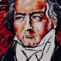 Wine Helped Beethoven Create His Music - and Then Promptly Killed Him on Random Events that Wine Changed World and Altered History