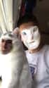 Catman and the Creepiest Little Eskimo Ever on Random Funny Face Swaps Gone Horribly Wrong