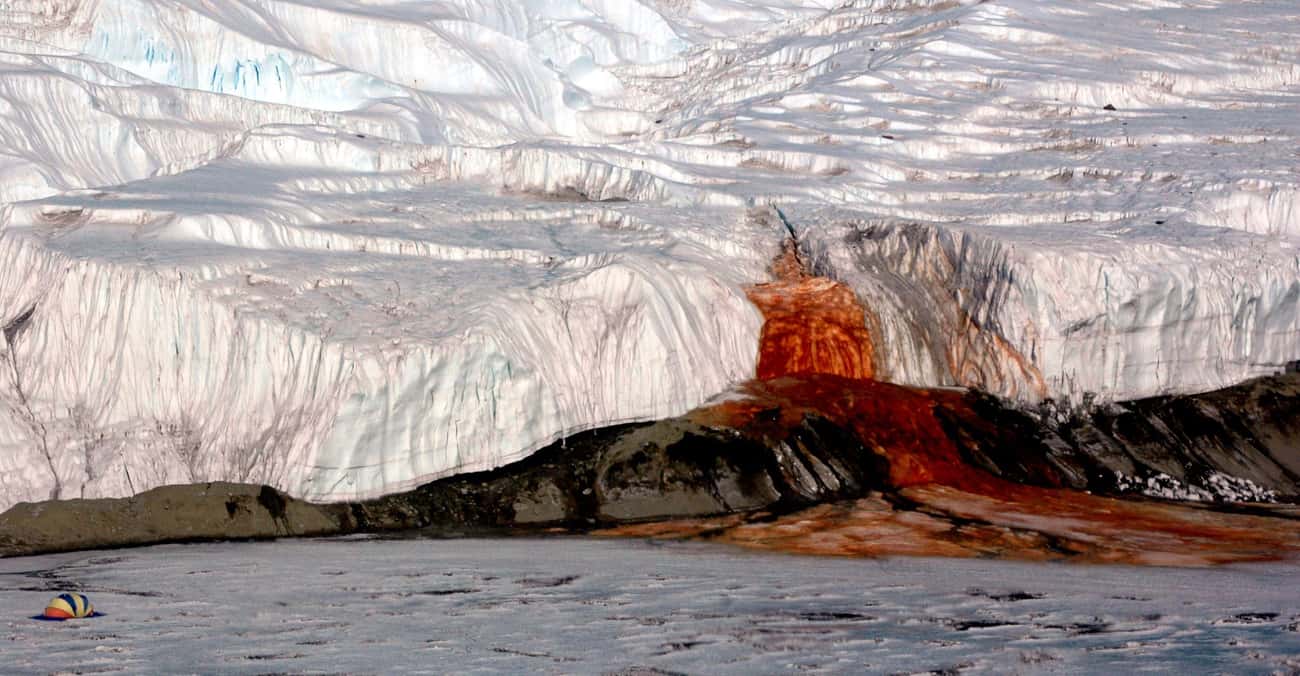 Antarctica Has a Blood-Red Waterfall