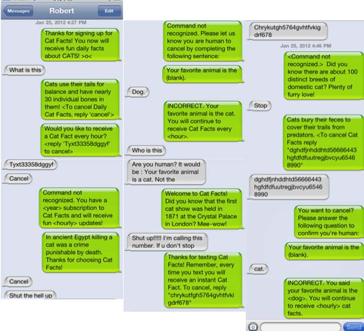 Hilarious Text Pranks To Drive Your Friends Crazy