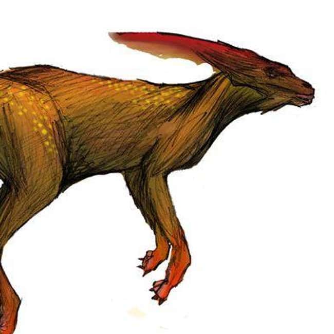 Nebraska: the Phantom Kangaroo is listed (or ranked) 27 on the list Craziest Humanoid Cryptids by State