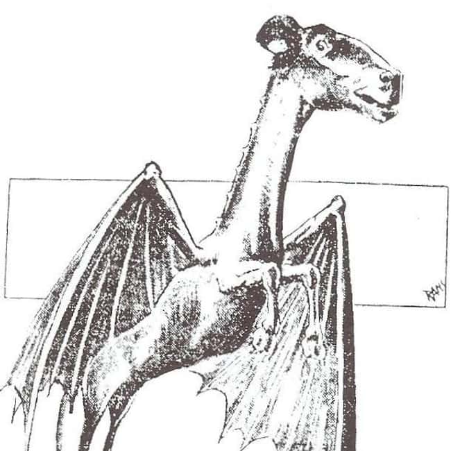 New Jersey: Jersey Devil is listed (or ranked) 30 on the list Craziest Humanoid Cryptids by State