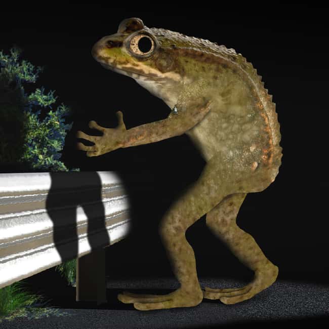 Ohio: Loveland Frogmen is listed (or ranked) 35 on the list Craziest Humanoid Cryptids by State