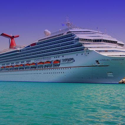 20 People Who Fell Off The Sides Of Cruise Ships