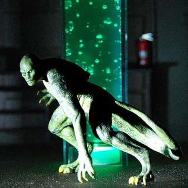 South Carolina: Lizard Man of  is listed (or ranked) 40 on the list Craziest Humanoid Cryptids by State