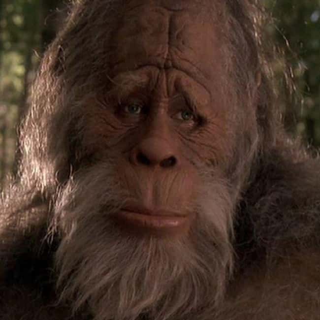 Washington: Sasquatch is listed (or ranked) 47 on the list Craziest Humanoid Cryptids by State