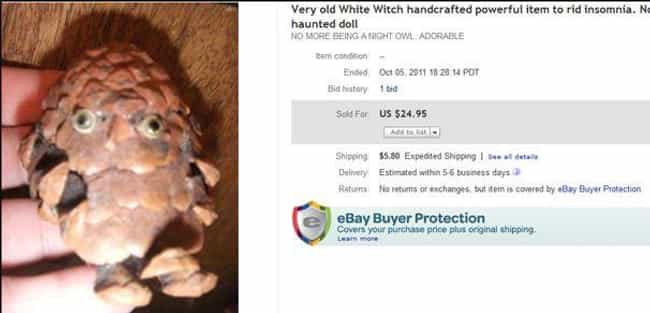 Weirdest And Creepiest Things Sold On Ebay Page 2