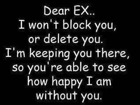 Funny Insult Memes to Send to Your Ex