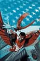 Falcon's Drone Used To Be An Actual Bird on Random Easter Eggs You Didn't Catch In 'Captain America: Civil War'