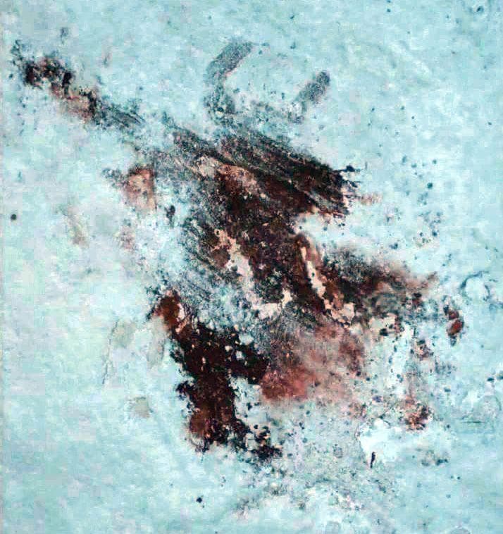 Clues and Foreshadowing that Jon Snow is a Targaryen