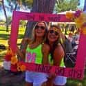 Sorority Girl Frame of Mind on Random Funny Sorority Girl Photos You Have to See