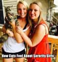 You Have to Be Kitten Me on Random Funny Sorority Girl Photos You Have to See
