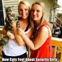 You Have to Be Kitten Me on Random Funny Sorority Girl Photos You Have to See