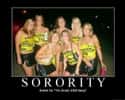 The Internet Definition of "Sorority" on Random Funny Sorority Girl Photos You Have to See