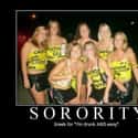 The Internet Definition of "Sorority" on Random Funny Sorority Girl Photos You Have to See