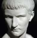 Caligula Turned His Palace Into A Brothel on Random Craziest Ancient Rome Sex Scandals
