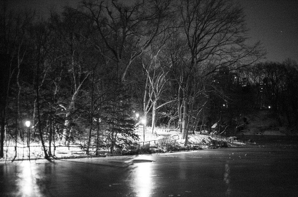 The Unsolved Murder of a Jogger