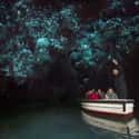 A Glowworm Cave in Waitomo, New Zealand on Random Most Beautiful Sea Caves Around the World
