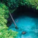 A Phenomenal Sea Trench Tucked Inside the Lush Green of Samoa on Random Most Beautiful Sea Caves Around the World