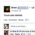 Burned by a Cat on Random Dumb Facebook Posts from Idiots Who Can't Spell