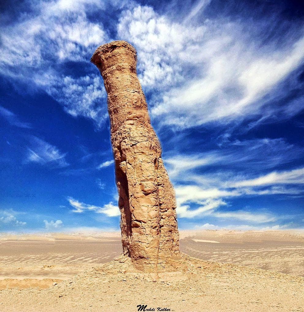 12 Interesting Things That Only Take Place in Desert Lands