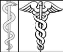 The Caduceus And The Rod Of Asclepius on Random Fun Facts You Should Know About Snakes