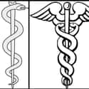 The Caduceus And The Rod Of Asclepius on Random Fun Facts You Should Know About Snakes