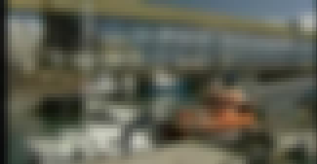 Creepy Legends And Ghost Stories From The Sea