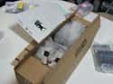 I Am the Night on Random Cats and Cardboard: A Photo Love Story