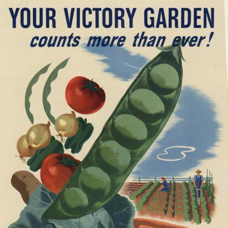 Victory Gardens Helped Win World War II