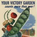 Victory Gardens Helped Win World War II on Random Most Historically Important Foodstuffs
