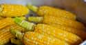Bt Corn Will End Insecticides on Random Most Historically Important Foodstuffs