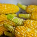 Bt Corn Will End Insecticides on Random Most Historically Important Foodstuffs
