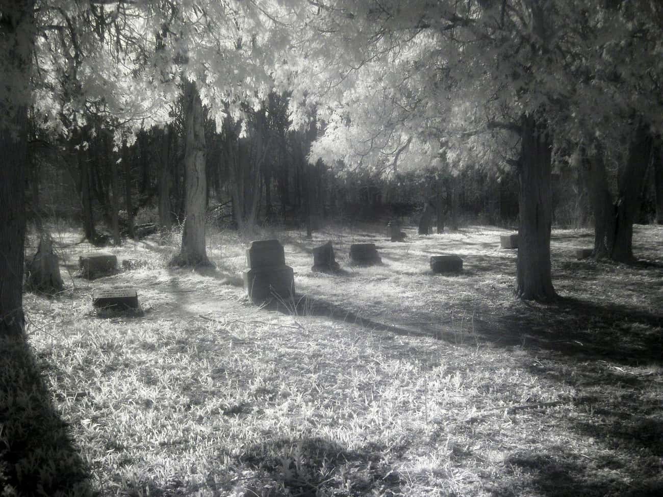 Bachelor's Grove Cemetery