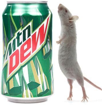 Debunking Urban Legends About Stuff Found in Packaged Drinks