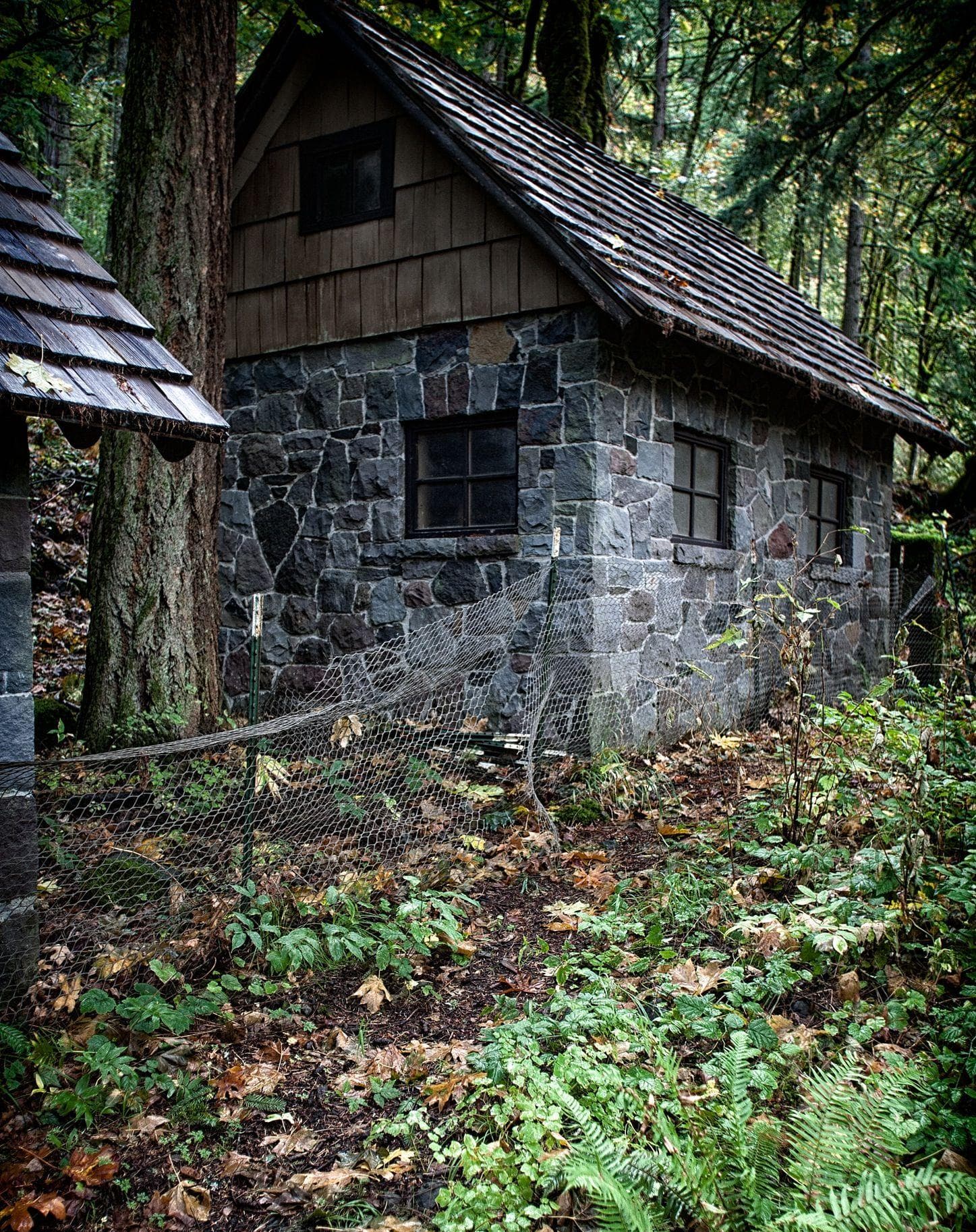 Wiccans Have Green Thumbs