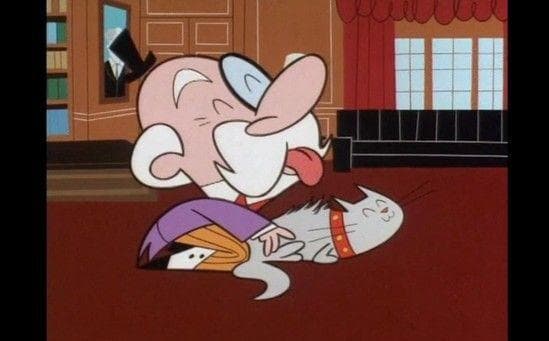 the-mayor-licking-a-kitty-cat-photo-u1