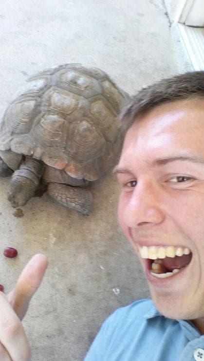 Tourists Keep Turtles from Lay... is listed (or ranked) 4 on the list Things That Were Destroyed Because of Selfies