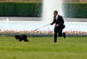 Even The President Picks Up Dog Poop on Random Weird Things You Didn't Know About Living In The White House