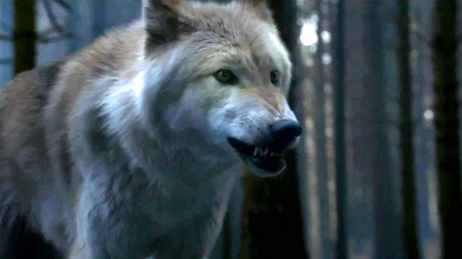 Bender Really Felt Terrible About Killing Summer, But It Was All About Hodor