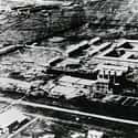 Unit 731 on Random Horrific Japanese Crimes In WWII That History Forgot
