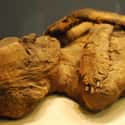 Mummies Are Packed Full of Salt on Random Fascinating Things About Salt