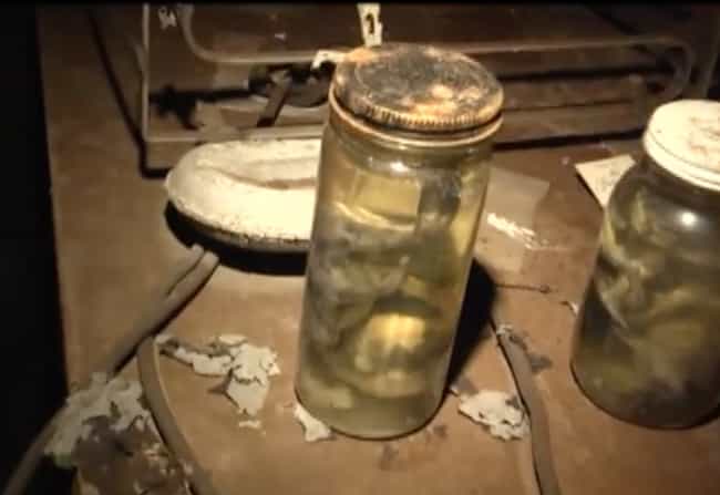 Two Fetuses in Jars is listed (or ranked) 2 on the list The Creepiest Things Ever Found in People's Basements