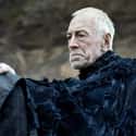 Brynden Rivers (Three-Eyed Raven) on Random Brothers Of the Night's Watch