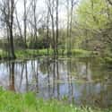 The Pierce Pond Ghost on Random Creepy Stories from the Appalachian Trail