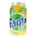Citrus Fanta on Random Best Fanta Flavors