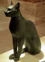 Even Regular Cats Were Worshiped In Ancient Egypt on Random Purrfectly Odd Things You Didn't Know About Cat Worship in History
