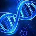DNA Is God's Signature on Living Things on Random Things Creationists Believe, Despite Being Conclusively Disproven By Science