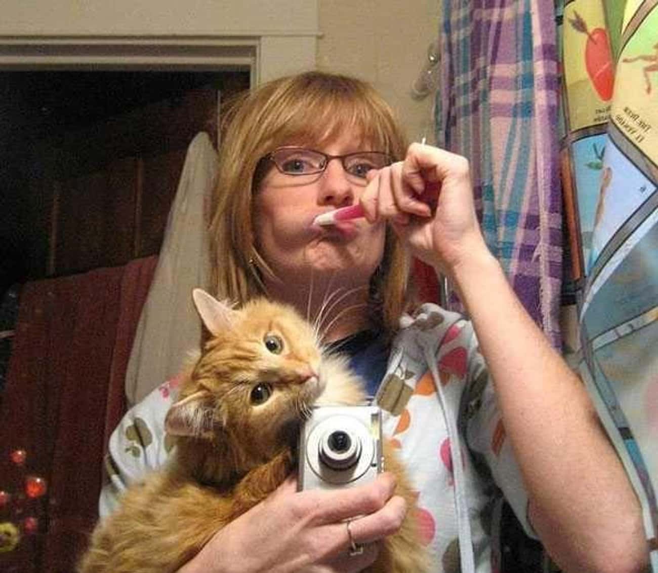 You Can&#39;t Take the Crazy Out of the Cat Lady